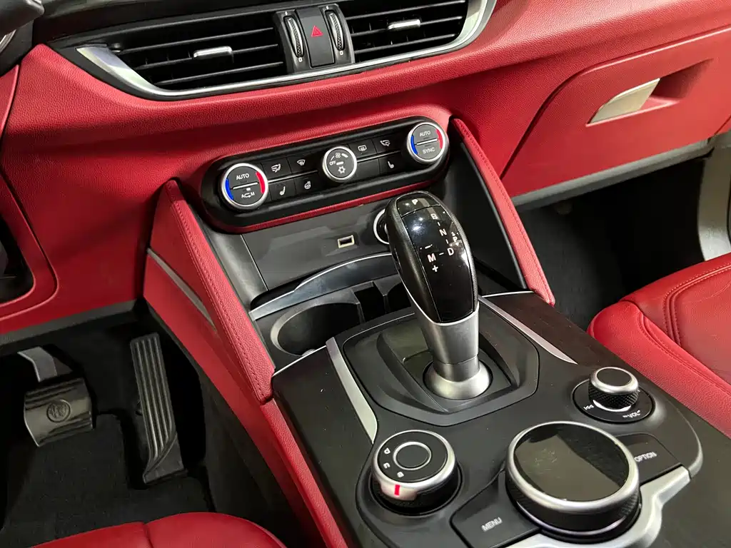 Alfa Romeo Stelvio 2019 — фото 17
