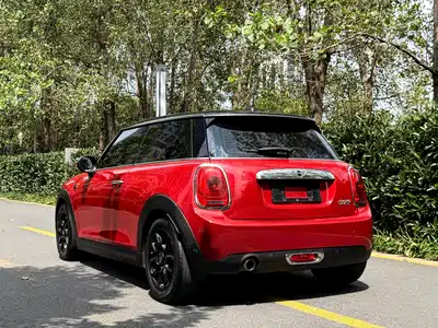 MINI MINI 2015
