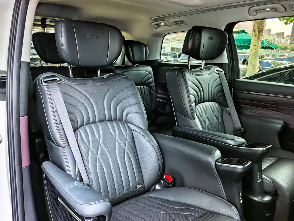 GAC Trumpchi M8 2024 — фото 13