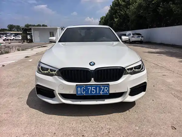 BMW 5 Series 2019