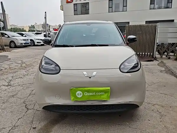 Wuling Bingo 2024