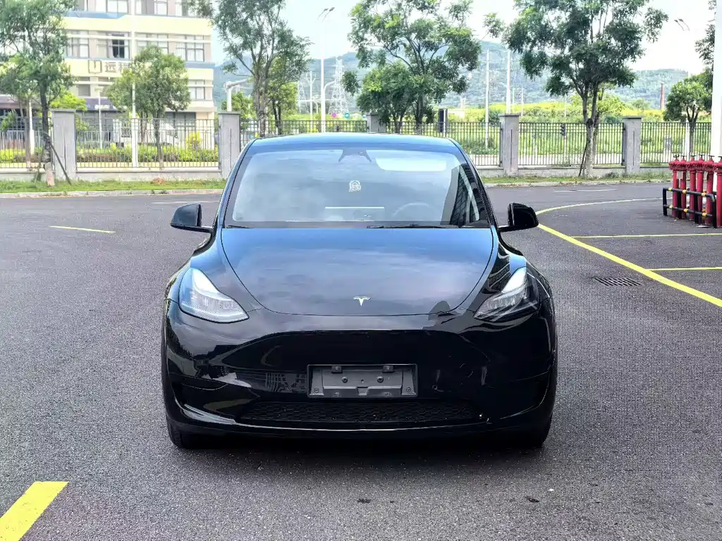 Tesla Model Y 2024 — фото 2