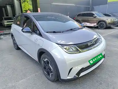 BYD Dolphin 2022