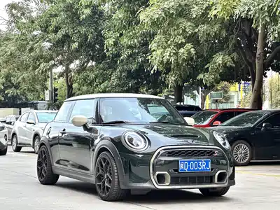 MINI MINI 2022