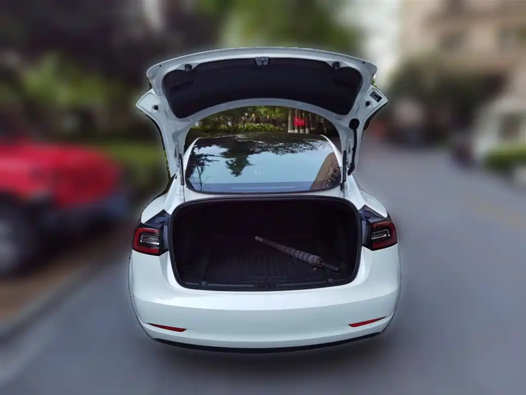 Tesla Model 3 2020 — фото 10