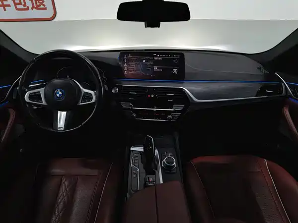 BMW 5 Series New Energy 2022