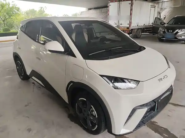 BYD Seagull 2024