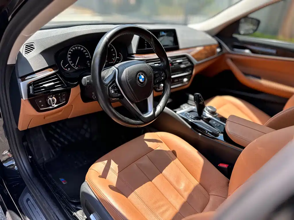 BMW 5 Series 2017 — фото 10