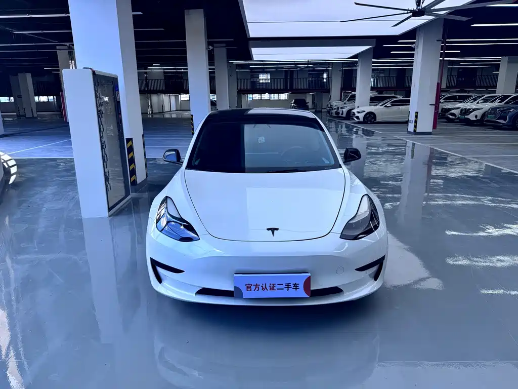 Tesla Model 3 2021 — фото 1