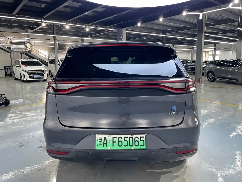 BYD Tang New Energy 2019 — фото 16