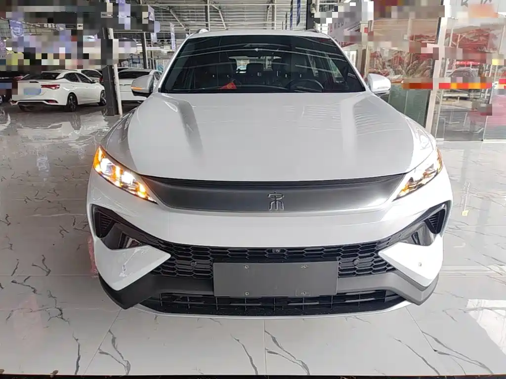 BYD Song Pro New Energy 2025 — фото 3