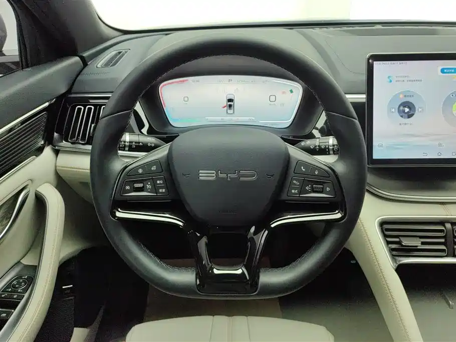 BYD PLUS New Energy 2024 — фото 15
