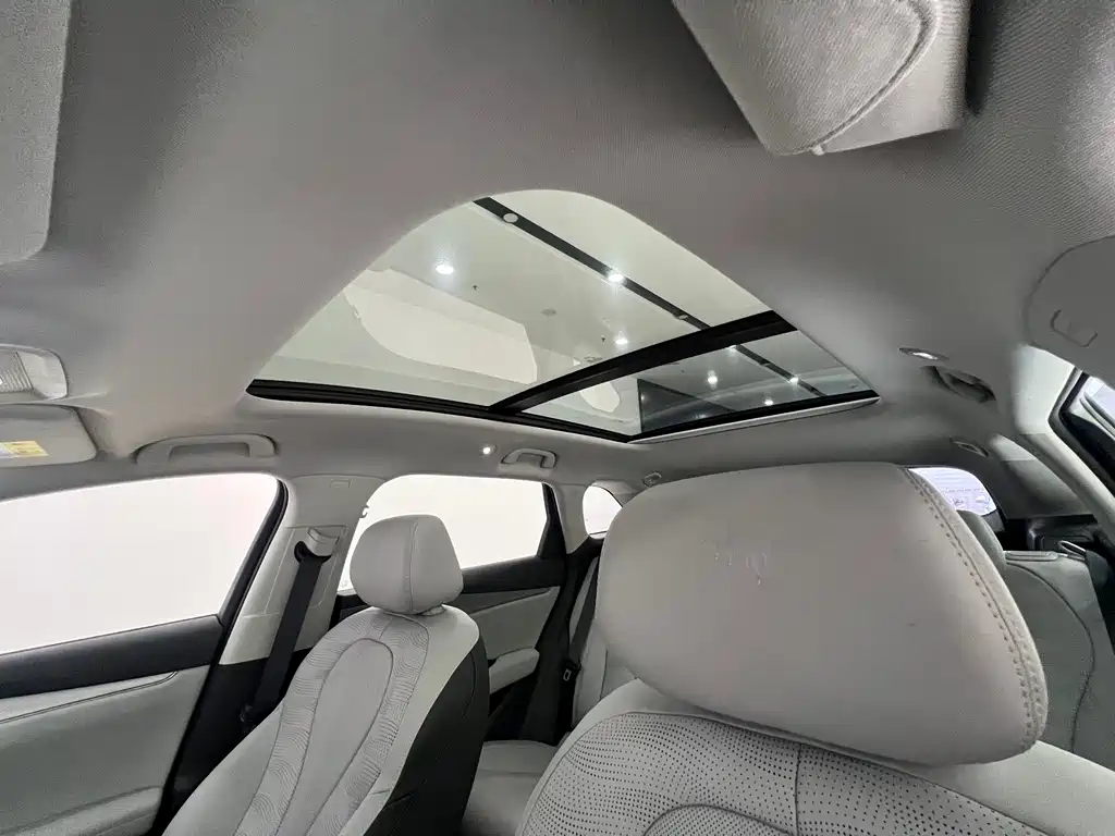 BYD Seal 06 DM-i Travel Edition 2025 — фото 21