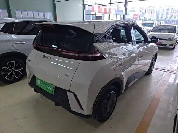 BYD Seagull 2024