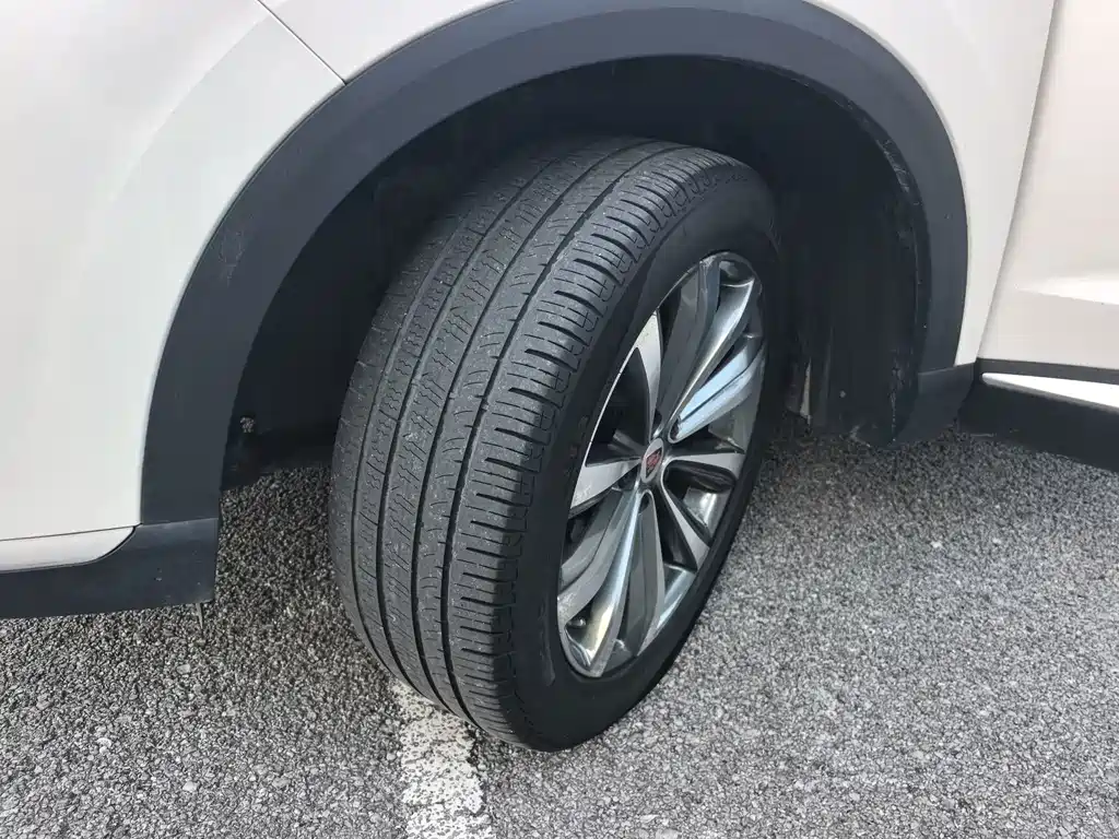 Roewe RX5 MAX 2020 — фото 16