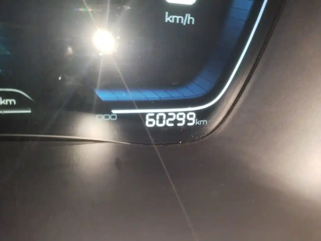 BYD Song PLUS New Energy 2022 — фото 13