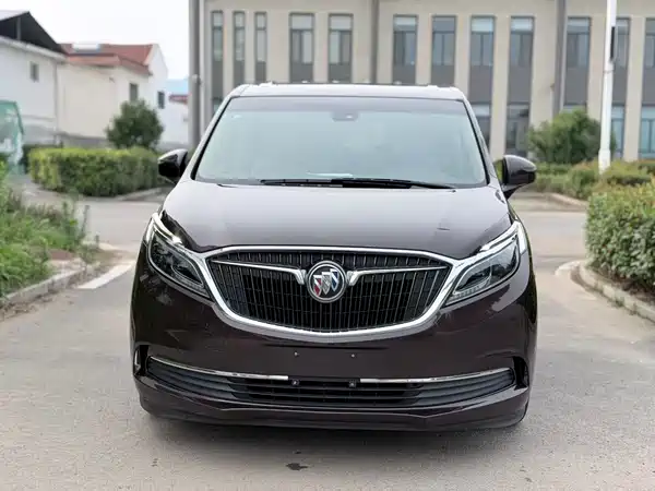 Buick GL8 2017