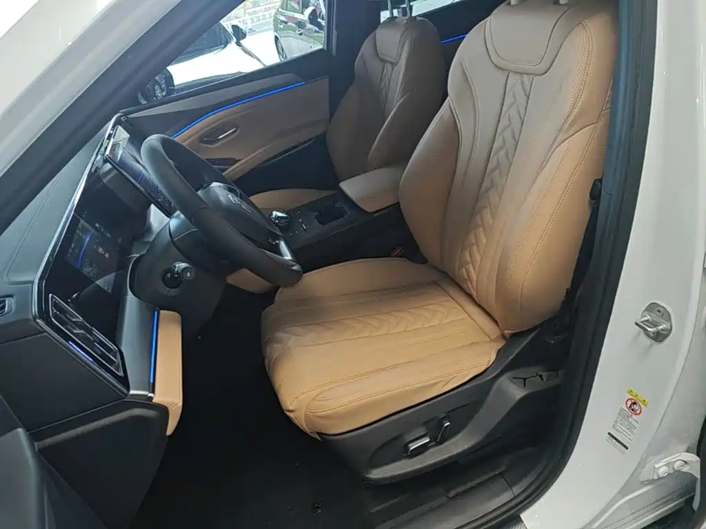 BYD L DM-i 2024 — фото 15
