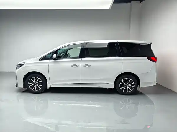 GAC Trumpchi M8 2022