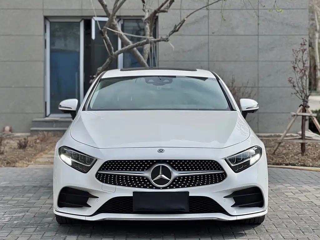 Mercedes-Benz CLS 2019 — фото 2