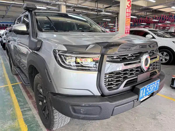 Great Wall Poer 2021