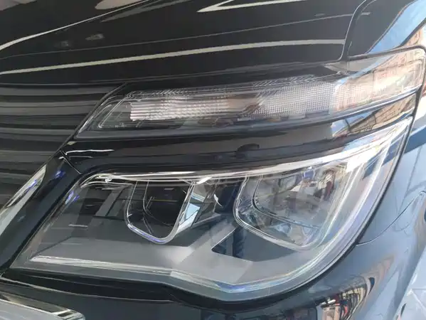 Dongfeng Lingzhi 2023