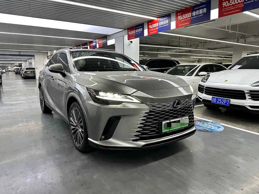 Lexus RX New Energy 2023 — фото 3