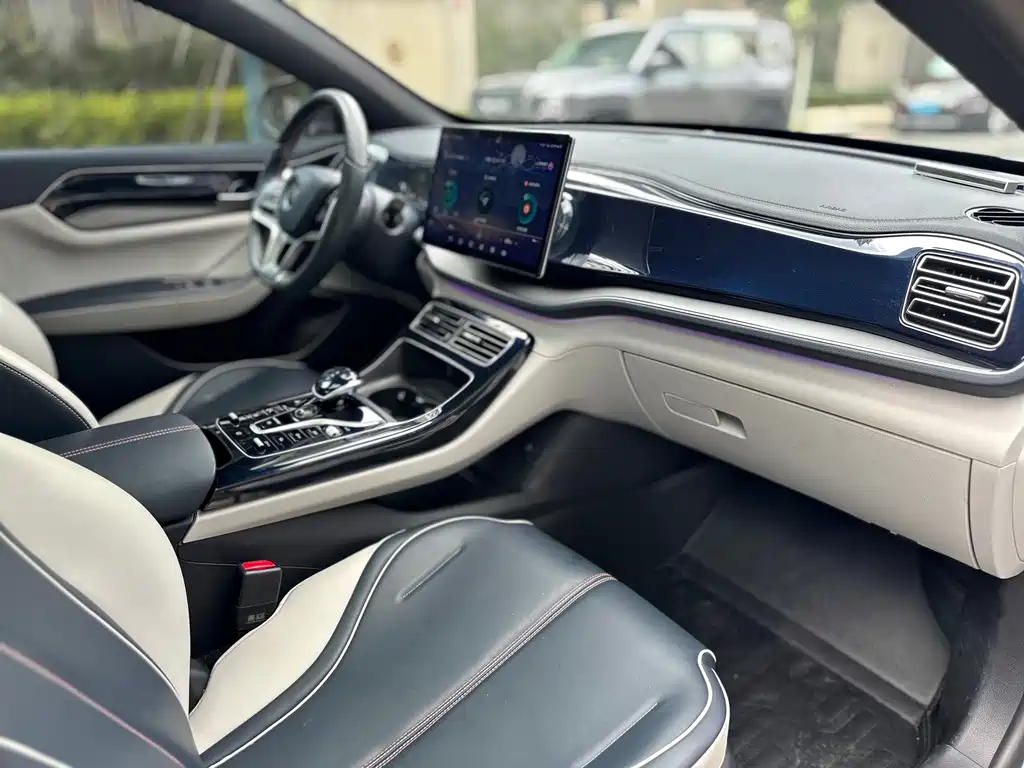 BYD Qin PLUS 2021 — фото 12