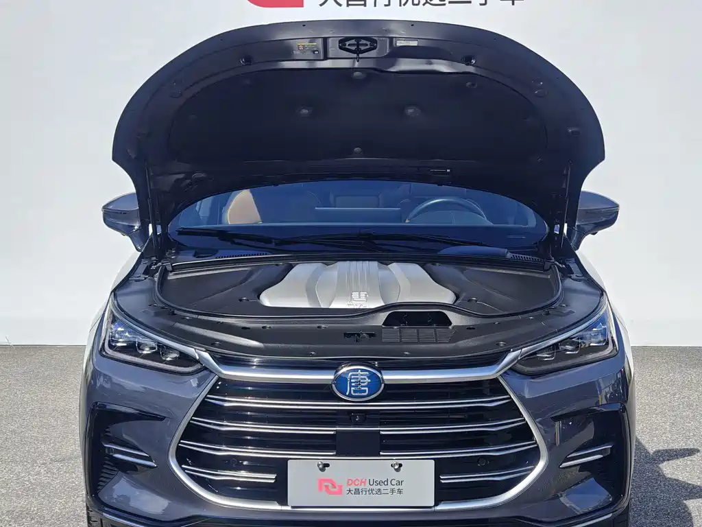 BYD Tang New Energy 2022 — фото 10