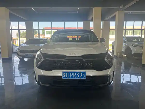 Kia Lion Platinum Expands The Boundary 2025