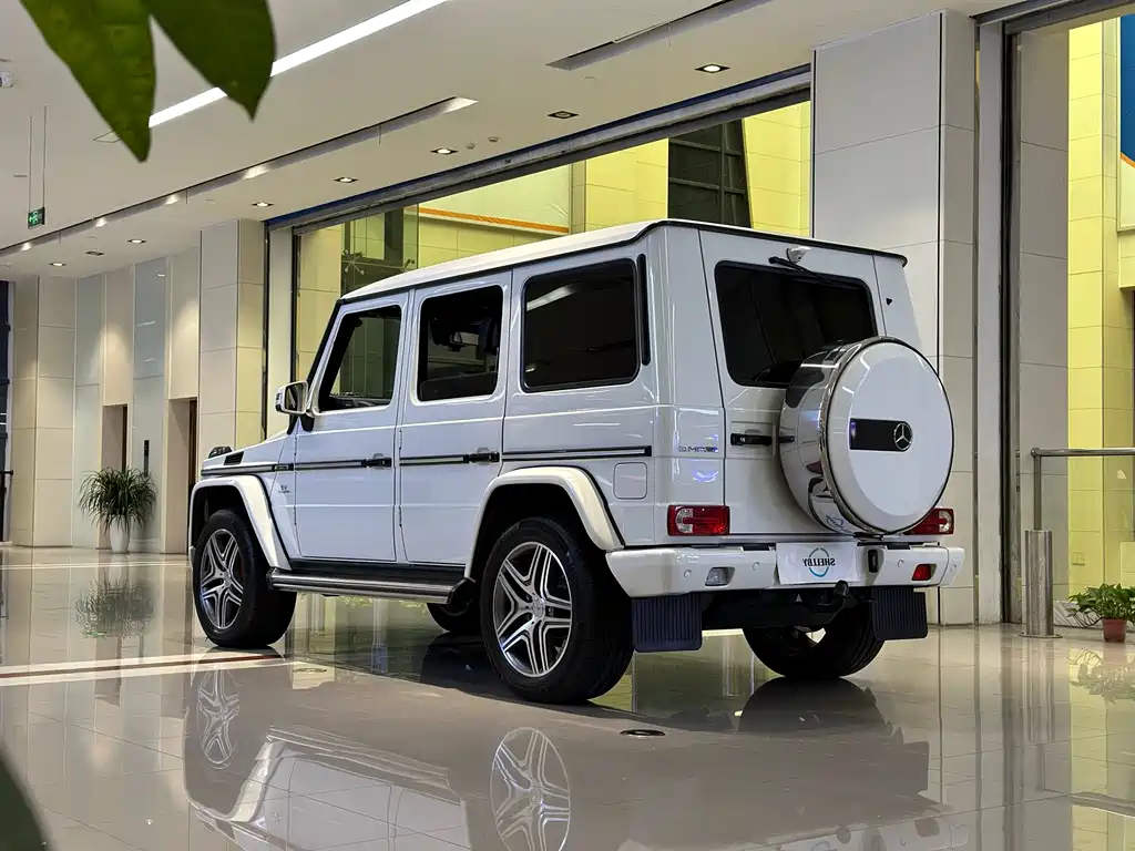 Mercedes-Benz G-Class AMG 2014 — фото 20