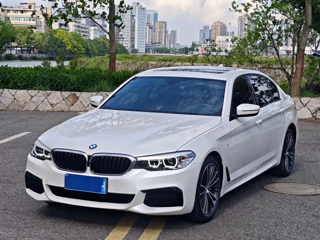 BMW 5 Series 2019 — фото 15