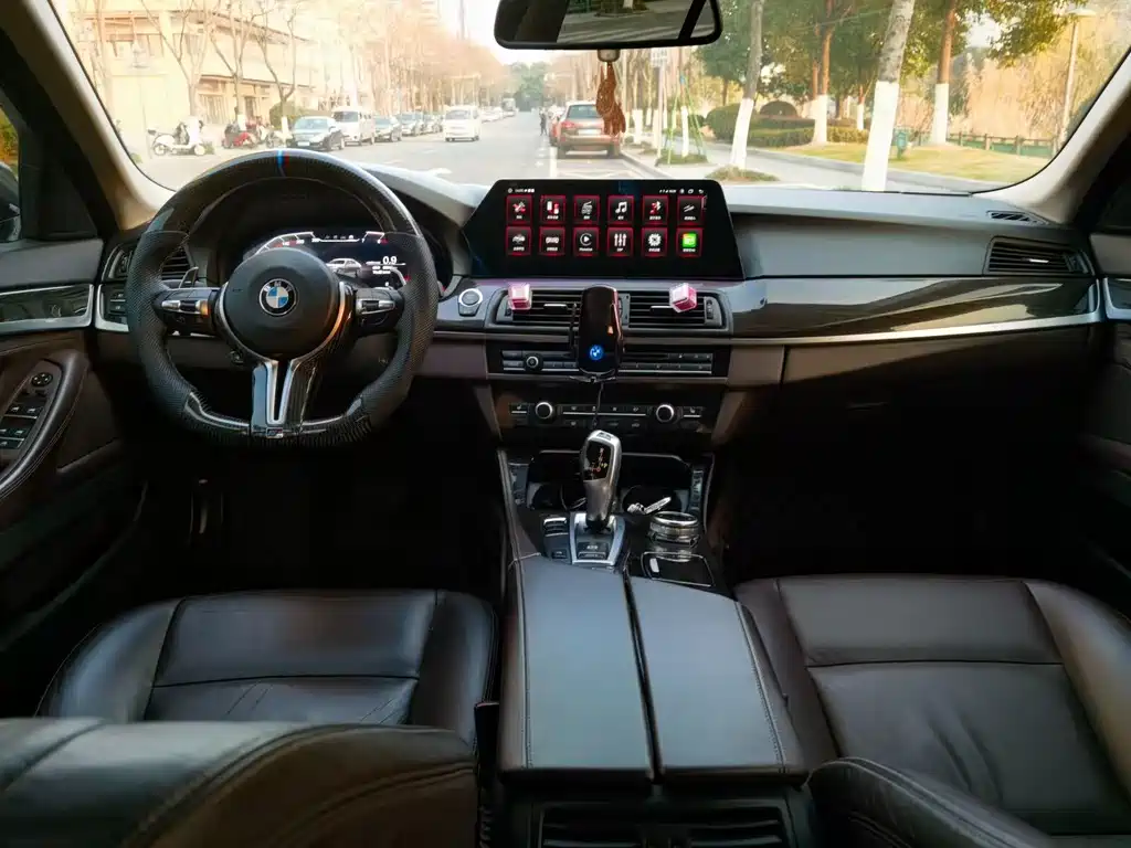 BMW 5 Series 2014