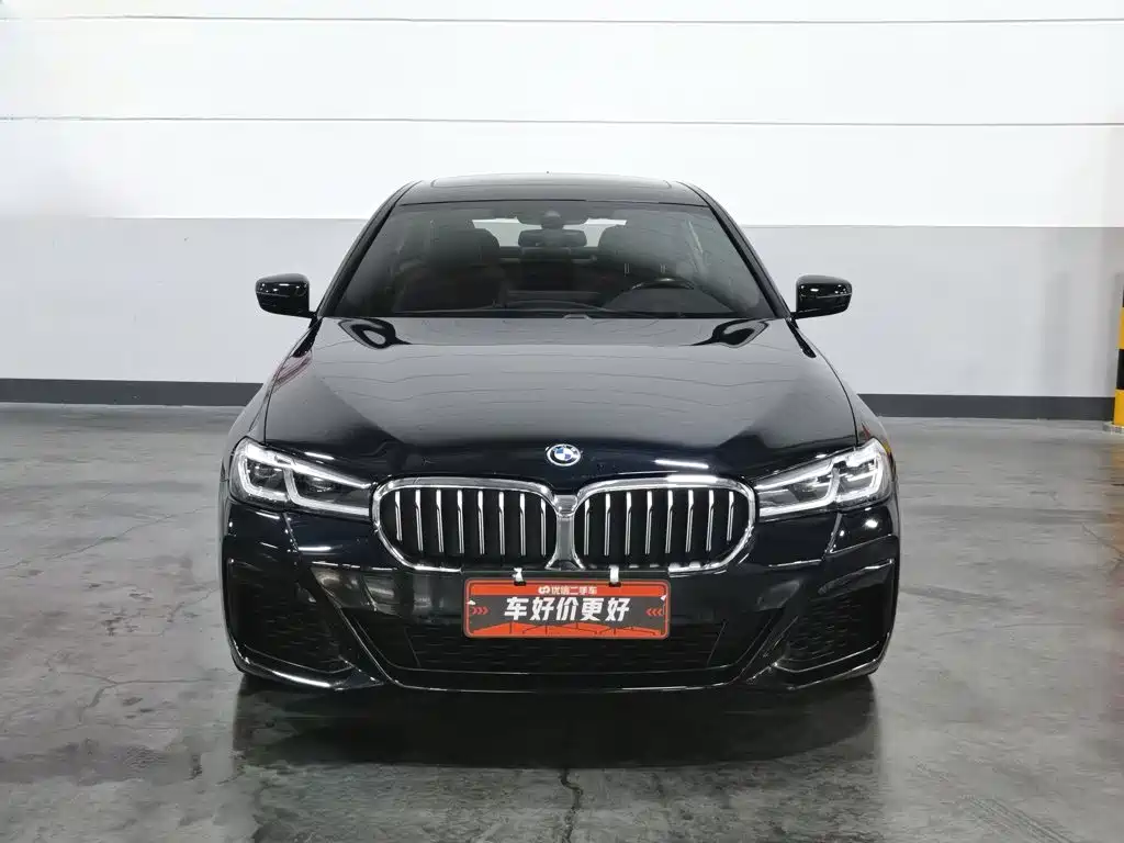 BMW 5 Series New Energy 2022
