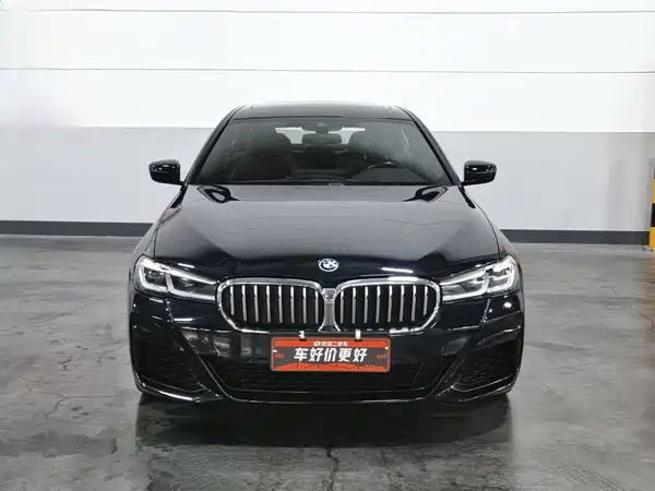BMW 5 Series New Energy 2022