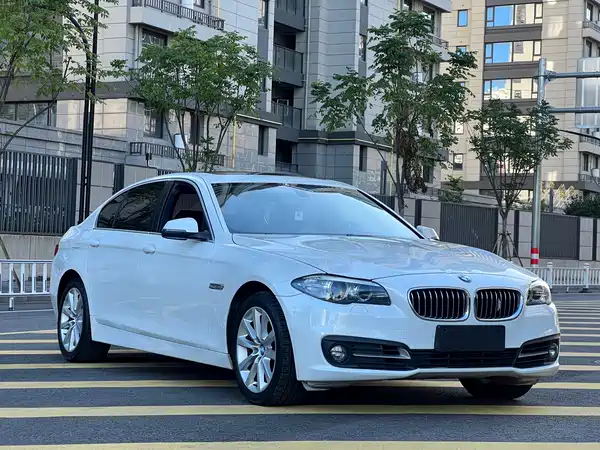 BMW 5 Series 2014