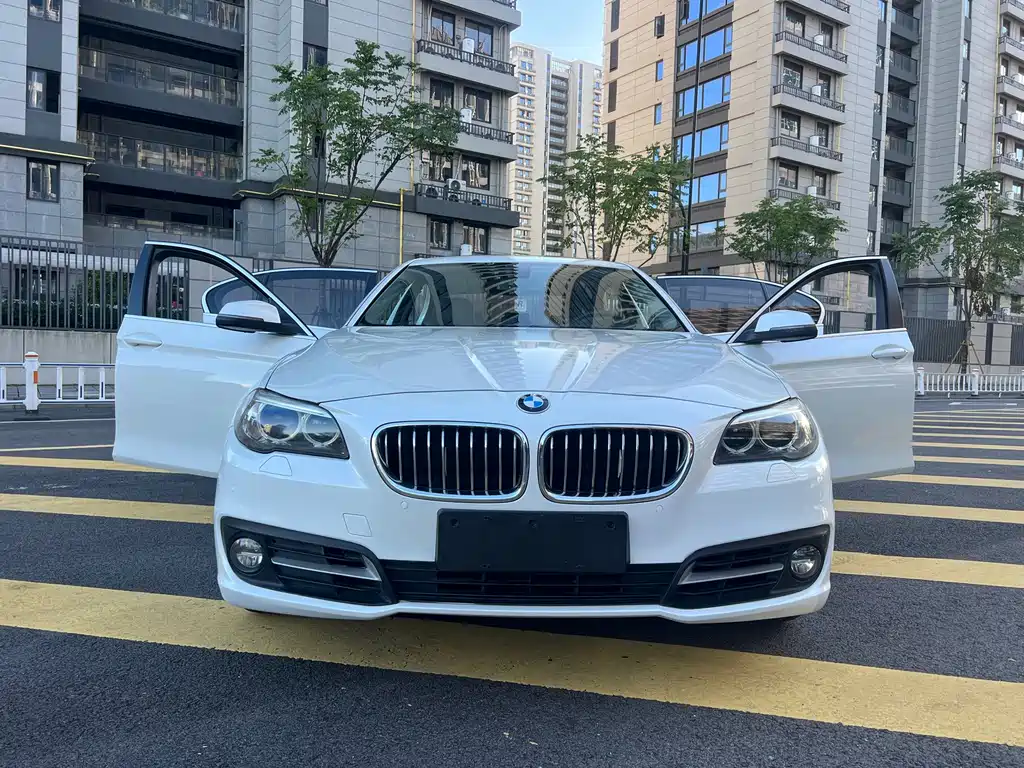 BMW 5 Series 2014 — фото 8