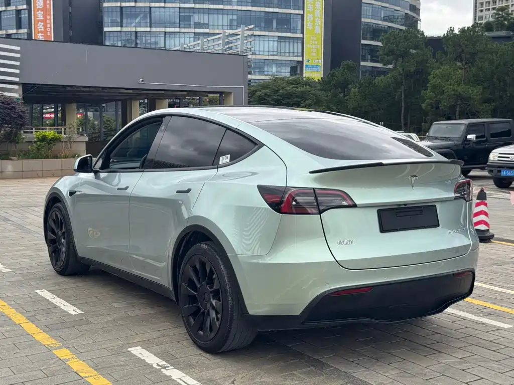 Tesla Model Y 2021 — фото 19