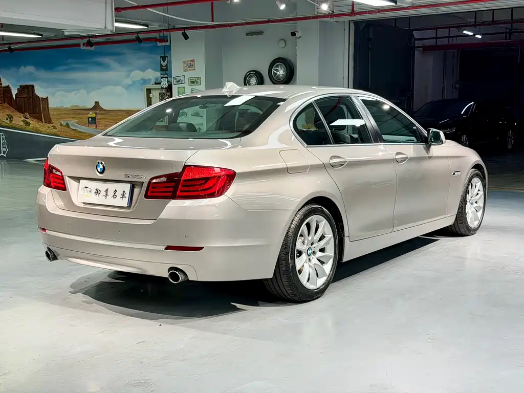 BMW 5 Series 2010 — фото 6