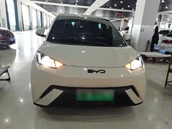 BYD Seagull 2025