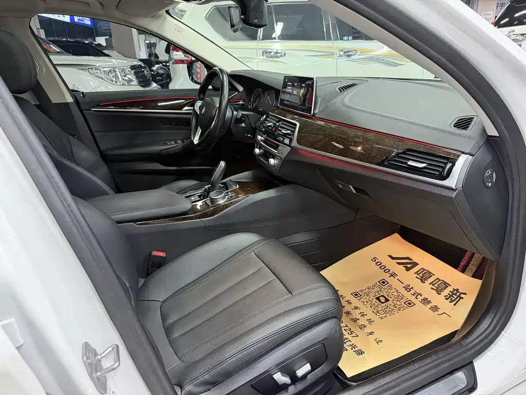 BMW 5 Series 2018 — фото 11