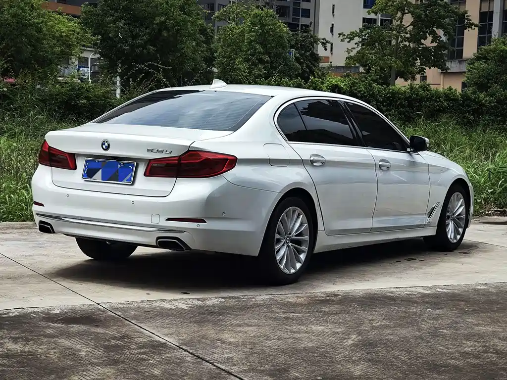 BMW 5 Series 2019