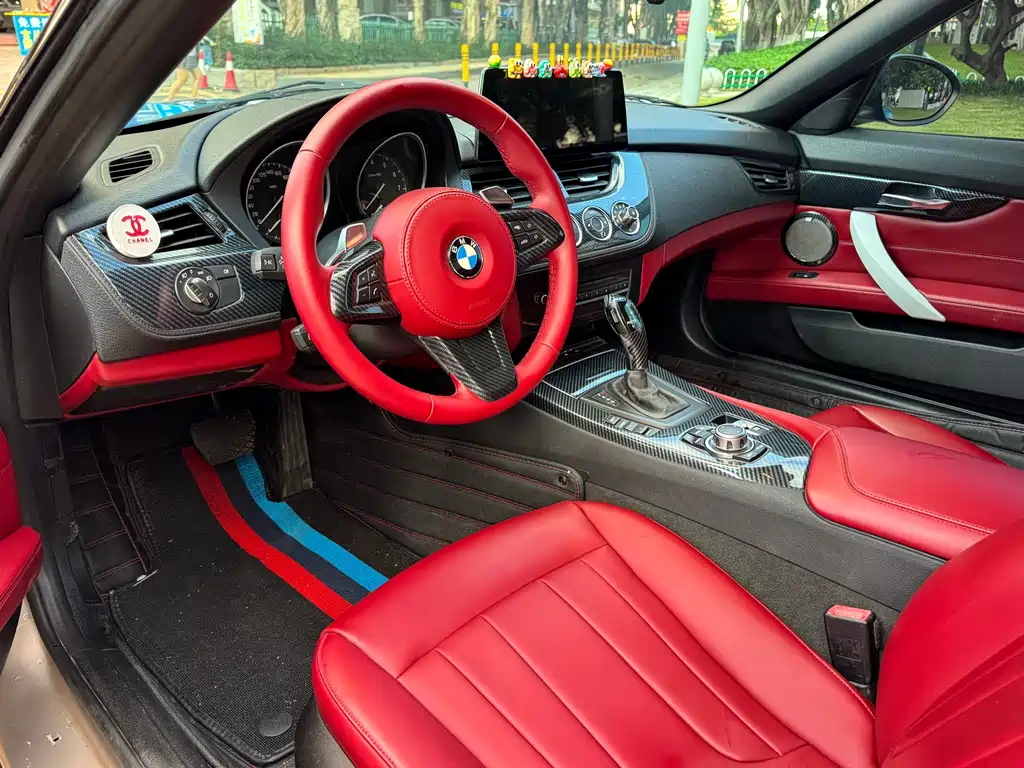 BMW Z4 2010