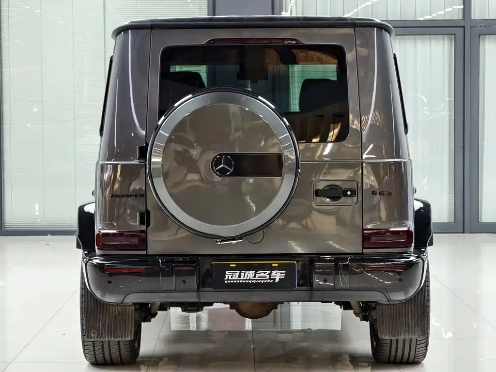 Mercedes-Benz G-Class AMG 2019 — фото 11