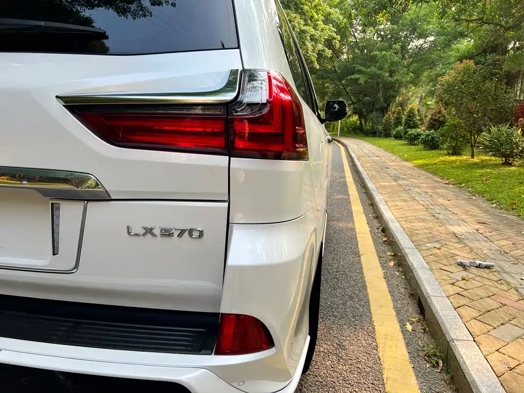 Lexus LX 2018 — фото 18