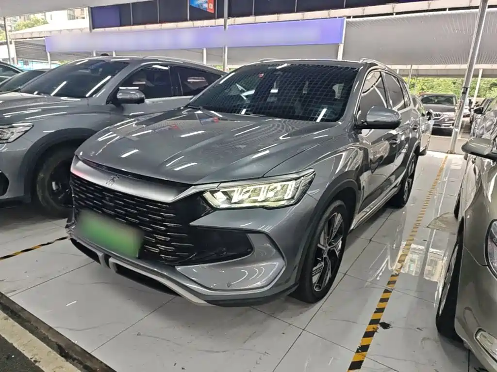 BYD Pro New Energy 2024