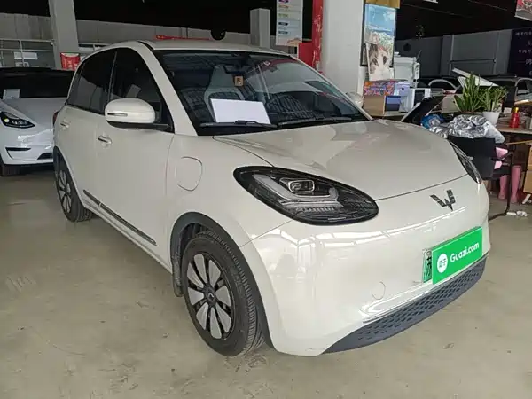 Wuling Bingo 2024