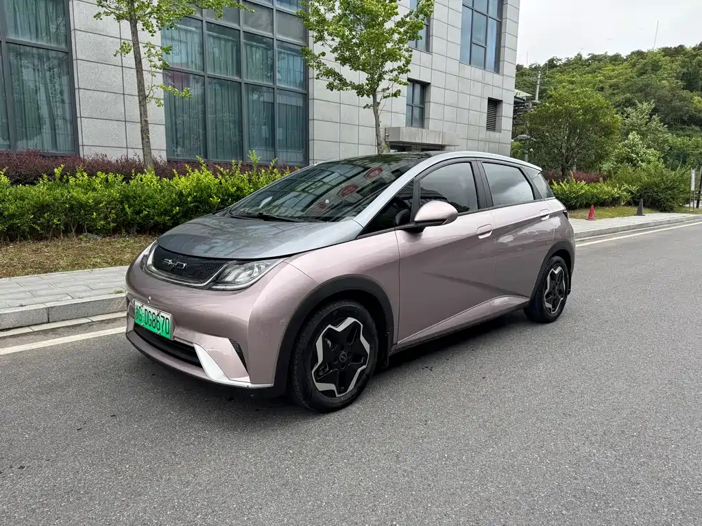 BYD Dolphin 2022