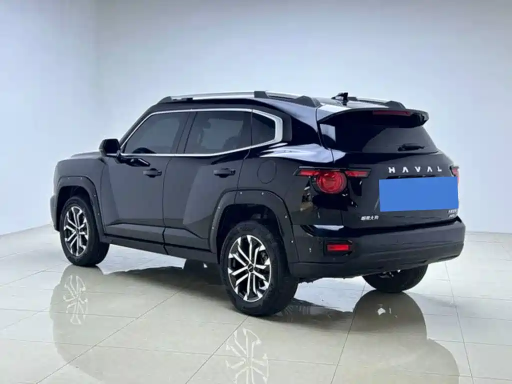 Haval Big Dog 2024 — фото 5
