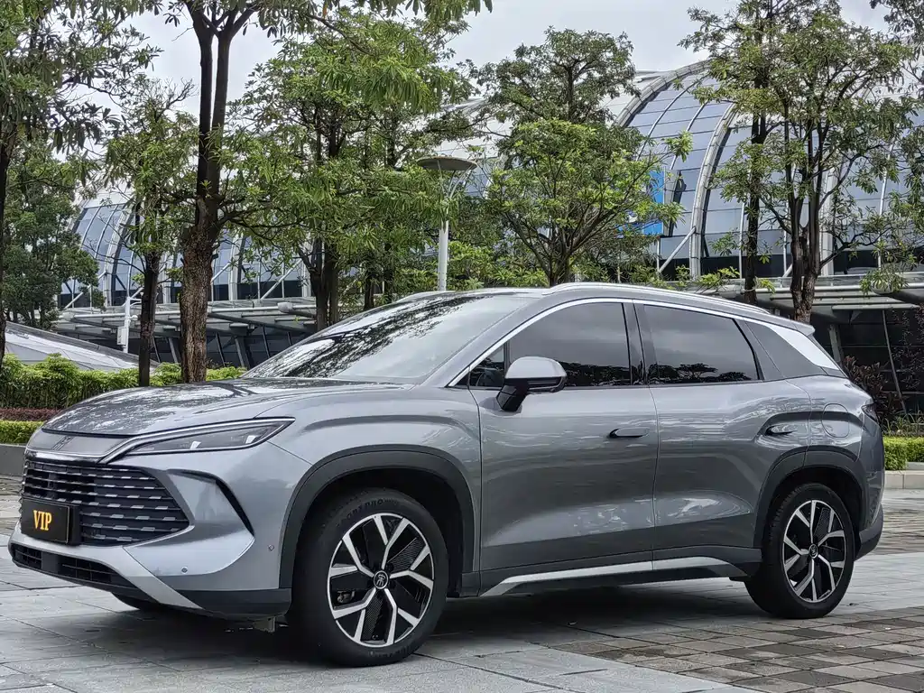 BYD L DM-i 2024